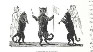 What Dark Pact Are These Cats Preventing?